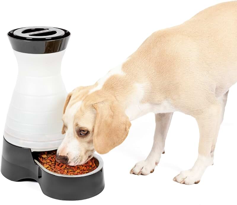 Pet Feeding Station