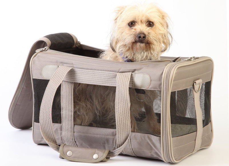 Pet Carrier