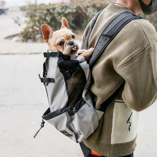 Outdoor Travel Puppy Medium Dog Backpack for Small Dogs Breathable Walking French Bulldog Carrier Bags Accessories Pet Supplies